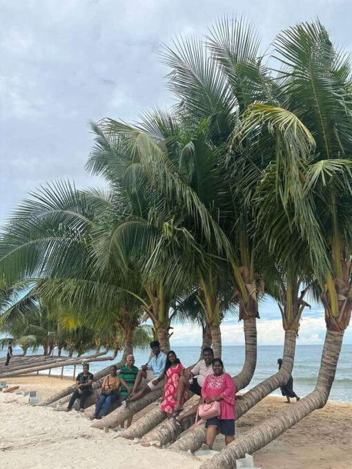 Nha Trang 4 Island Tour: Bai Tranh, Con Se Tre, Aquarium - Since You Asked