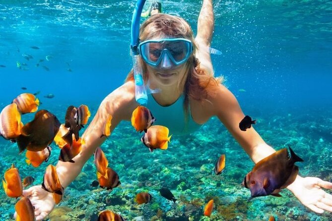 Nha Trang Bay: Explore Half-day Snorkeling at Mun Island - Visiting Hon Mieu Island