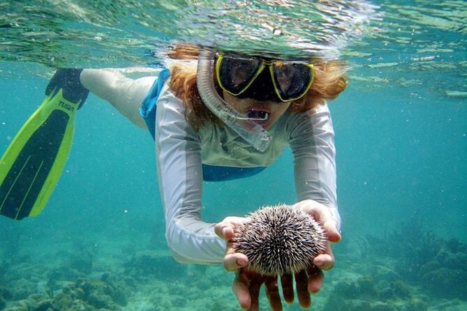 Nha Trang Bay: Explore Half-day Snorkeling at Mun Island - Guest Reviews and Ratings