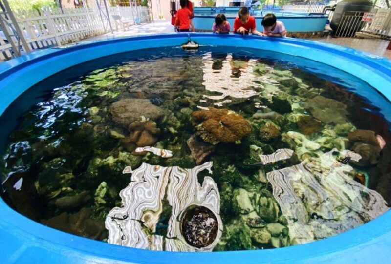 Nha Trang City Half-Day Tour - Hon Chong Promontory