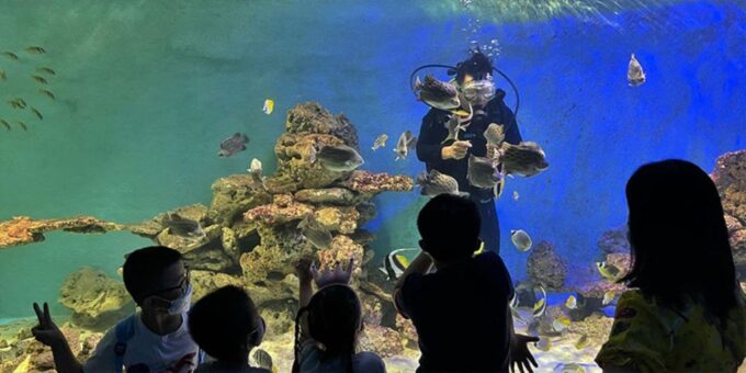 Nha Trang City Half-Day Tour - Frequently Asked Questions