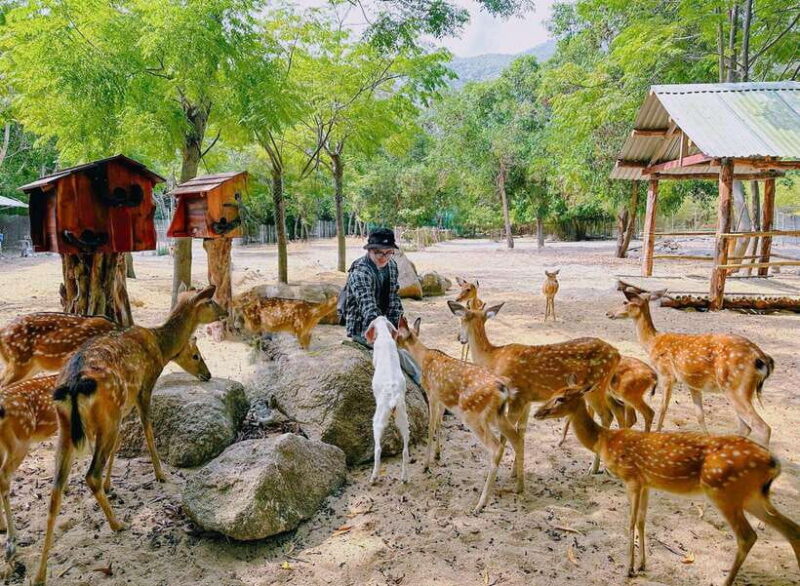 Nha Trang City Sightseeing Tour: Nha Phu Bay, Monkey Island - Hoa Lan Island