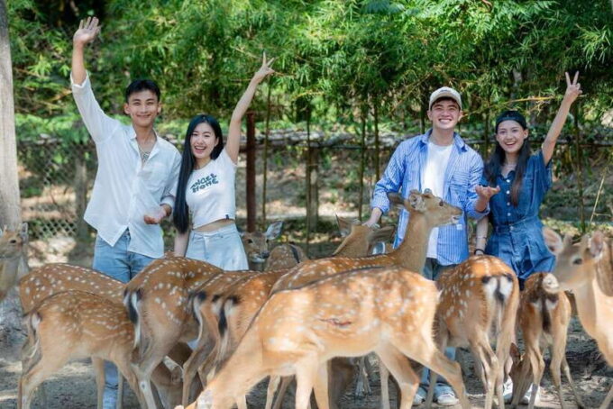Nha Trang City Sightseeing Tour: Nha Phu Bay, Monkey Island - Important Considerations