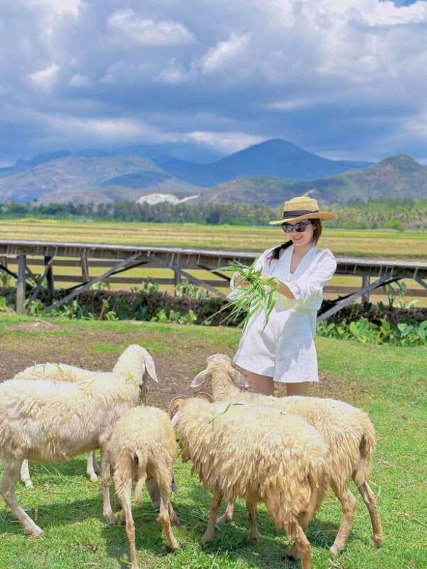 Nha Trang City Tour Hang Rai Coral Reef, Ninh Thuan Vineyard - Travel Recommendations