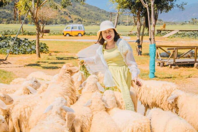 Nha Trang City Tour Hang Rai Coral Reef, Ninh Thuan Vineyard - Exploring Hang Rai Coral Reef