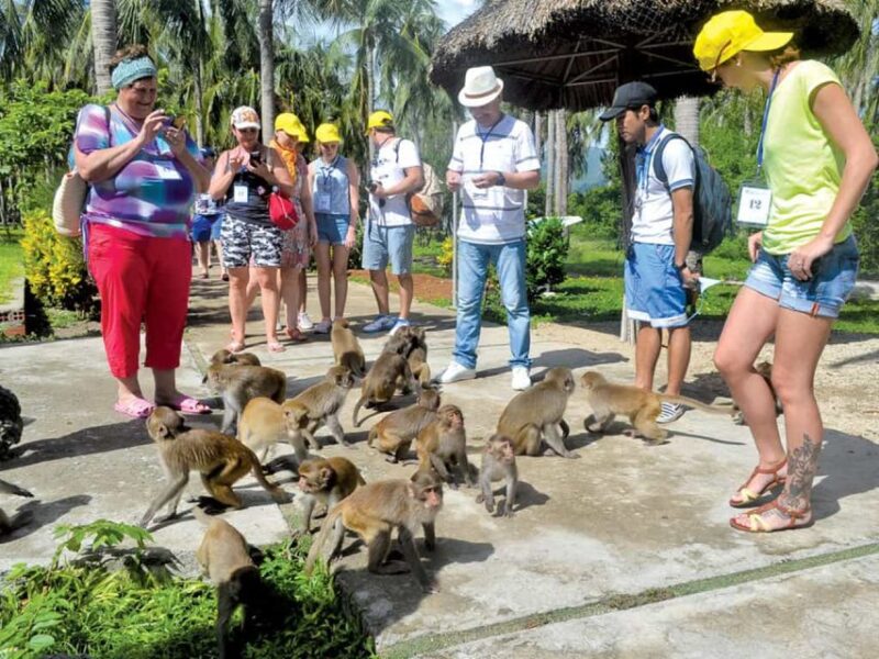 Nha Trang: Combo Ticket for Monkey Island and Orchids Island - Excluded Expenses