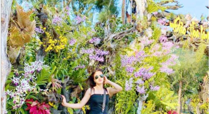 Nha Trang: Combo Ticket for Monkey Island and Orchids Island - Getting to the Islands