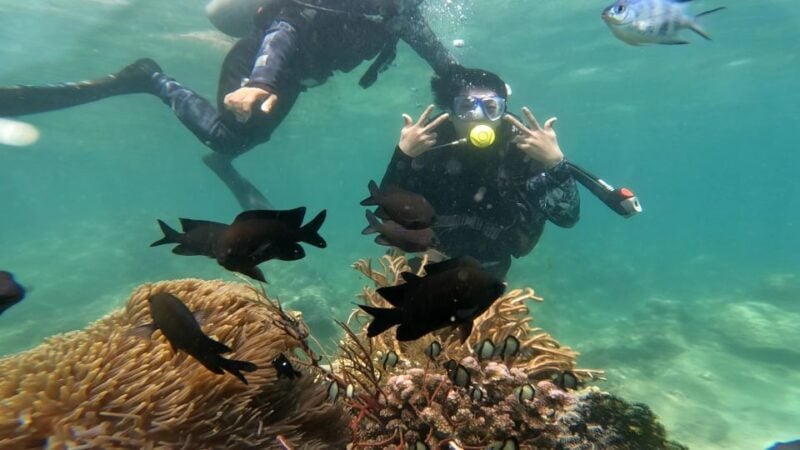 Nha Trang: Coral Reef Scuba Diving and Floating Bar Party - Key Points