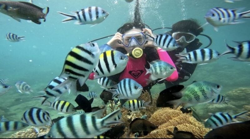Nha Trang: Coral Reef Scuba Diving and Floating Bar Party - Snorkeling and Marine Life