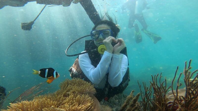 Nha Trang: Coral Reef Snorkeling and Floating Bar Party - Inclusions in the Package