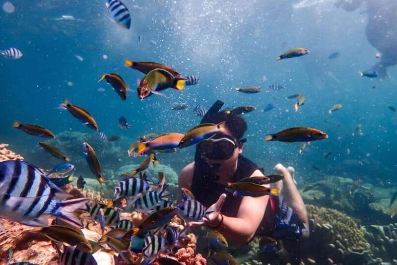 Nha Trang: Coral Reef Snorkeling, Mud Bath & Floating Bar - Key Points