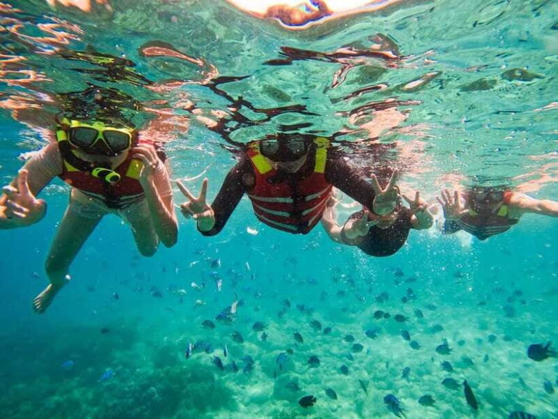 Nha Trang: Deluxe Ocean Tour With Snorkeling, BBQ & Mud Bath - Scenic Views of Nha Trang Bay