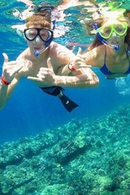 Nha Trang: Experience Snorkeling at Mun Island & Marine Park - Itinerary