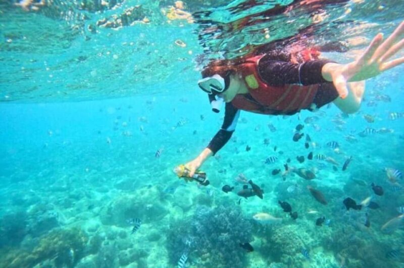 Nha Trang: Experience Snorkeling at Mun Island & Marine Park - Inclusions