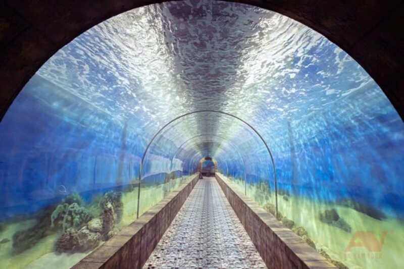 Nha Trang: Explore Nha Trang City in a Half-Day Tour - Chong Rock