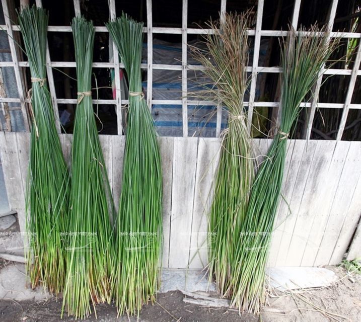 Nha Trang: Explored the Daily Life in the Countryside. - The Art of Vietnamese Craftsmanship