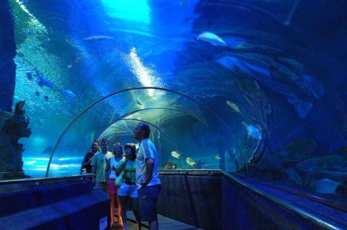 Nha Trang: Half-Day City Tour- Daily Tour - Booking and Availability