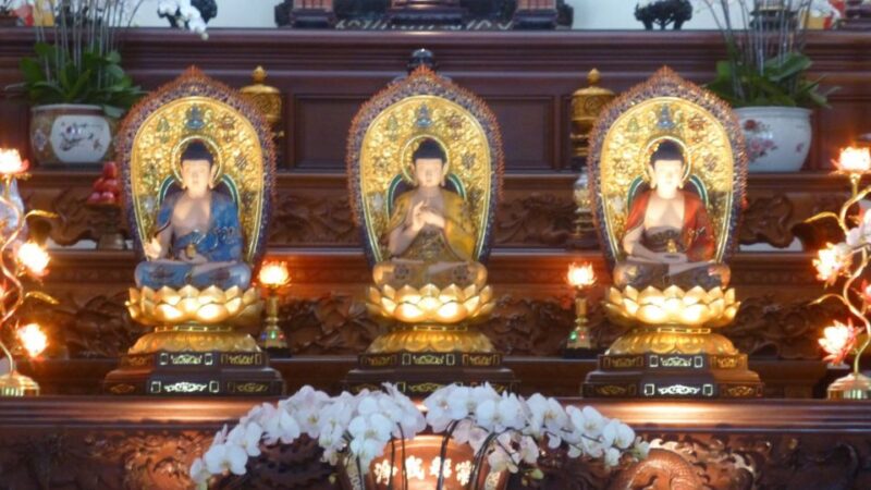 Nha Trang: Half-day City Tour - Tour Overview