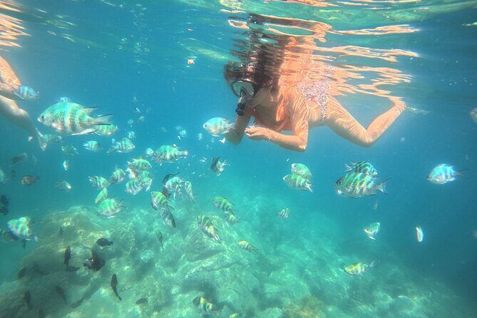 Nha Trang Half-Day Snorkeling Adventure at Marine Park with BBQ - Key Points