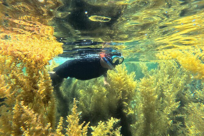 Nha Trang Half-Day Snorkeling Adventure at Marine Park with BBQ - What’s Included and What’s Not