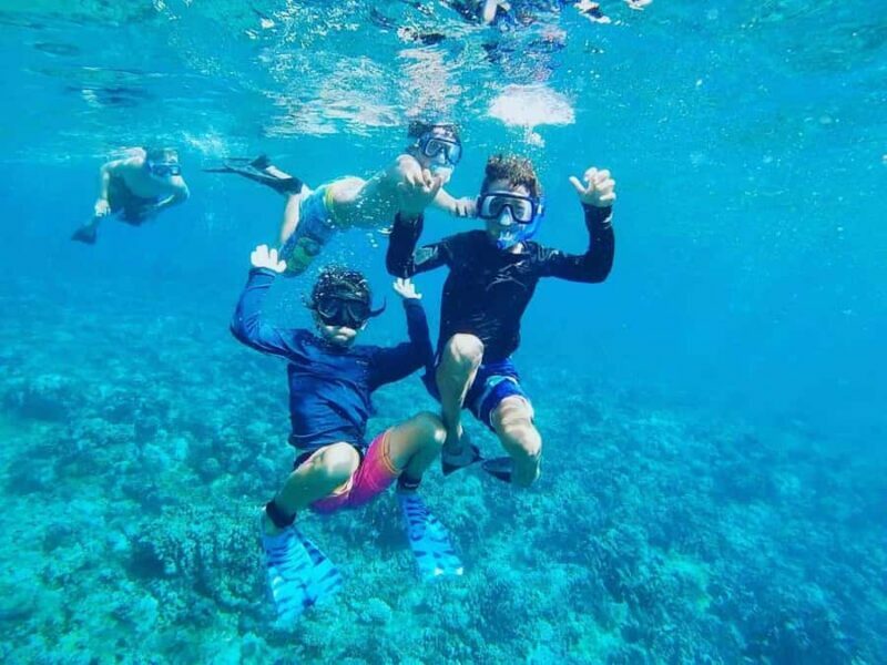 Nha Trang: Half-Day Snorkeling Adventure with BBQ lunch - Exploring the Snorkeling Tour in Depth