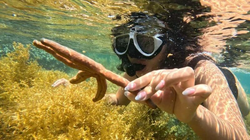 Nha Trang: Half-Day Snorkeling Adventure with BBQ Onboard - Key Points