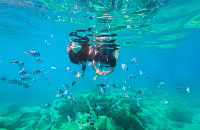 Nha Trang: Half-Day Snorkeling Adventure with BBQ Onboard - The Sum Up