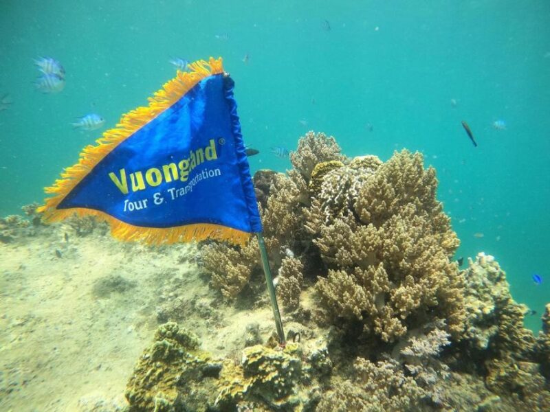 Nha Trang Half Day Snorkeling Trip - Inclusions