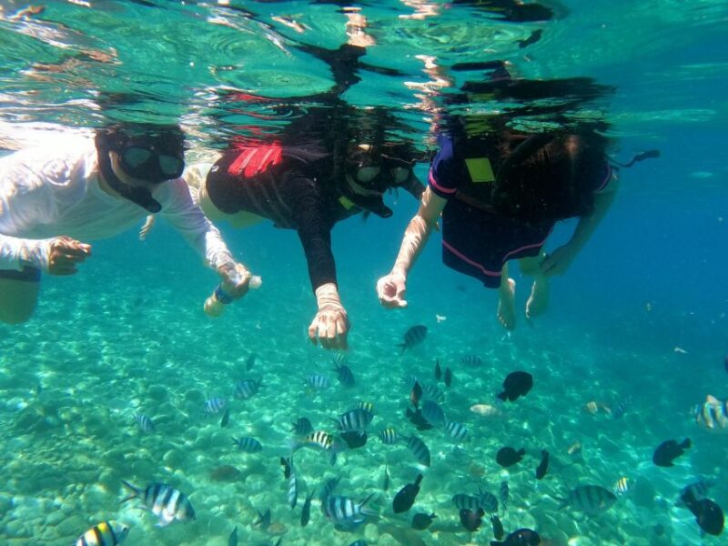 Nha Trang Half Day Snorkeling Trip - Important Information