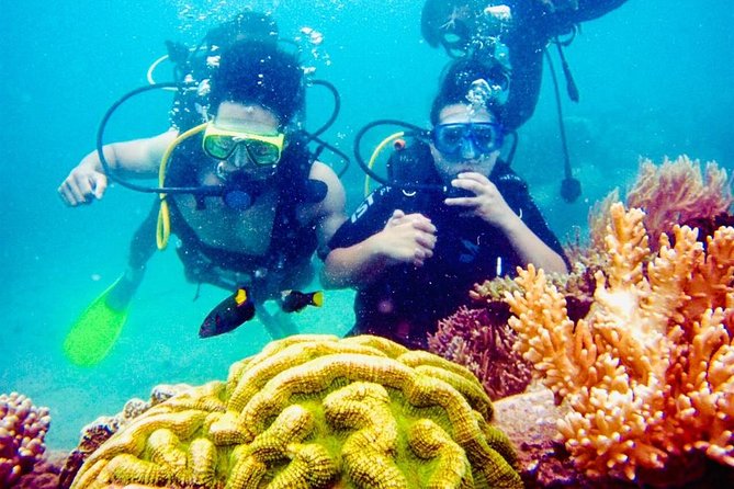 Nha Trang Happy Boat Trip Included Floating Bar And Lunch - Exploring the Local Marine Life