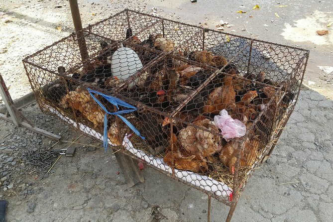 Nha trang Highlights - Culinary Highlights: A Tasty Vietnamese Lunch