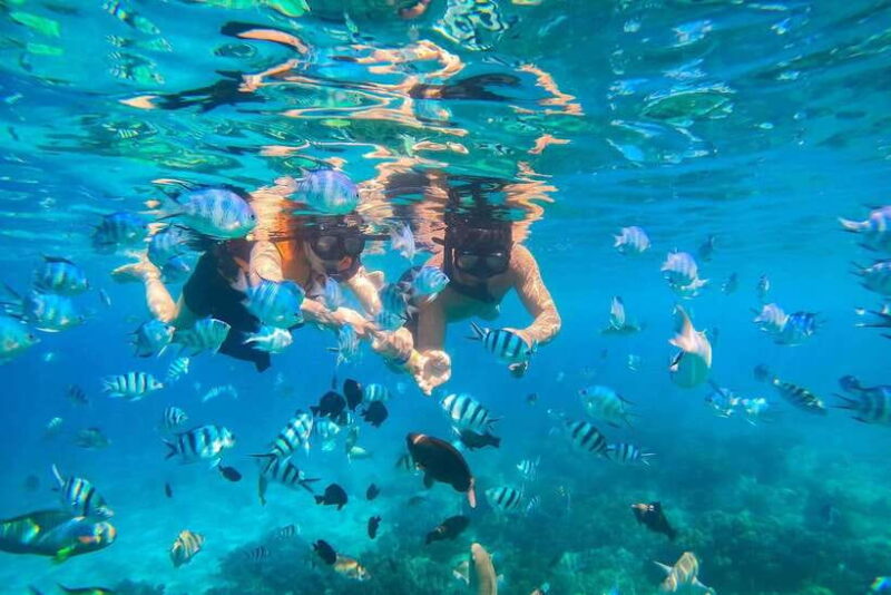 Nha Trang: Hon Mun Island Marine Park Snorkeling & Mud Bath - Snorkeling at Hon Mun Marine Protected Area