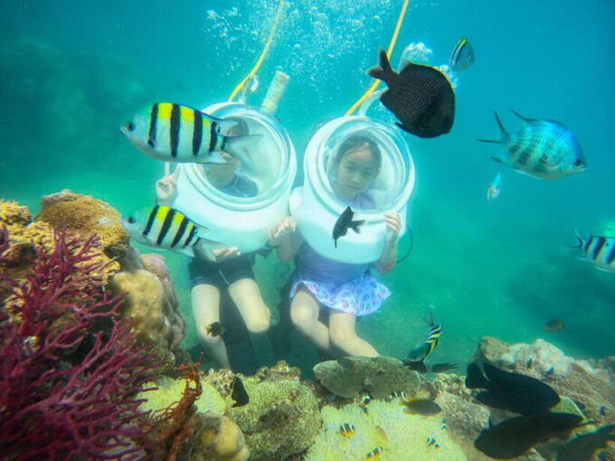 Nha Trang: Hon Mun Island Marine Park Snorkeling & Mud Bath - Since You Asked
