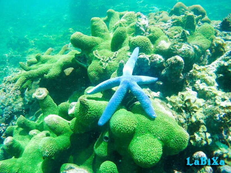 Nha Trang: Island Hopping Boat Tour With Snorkeling & Lunch - Discovering the Wonders of Tranh Island
