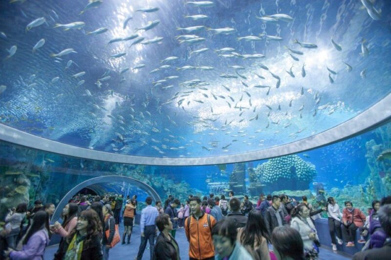 Nha Trang Private Half-Day City Tour - Hon Chong