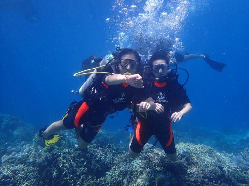 Nha Trang: Professional Scuba Diving for Certified Divers - Detailed Activity Information
