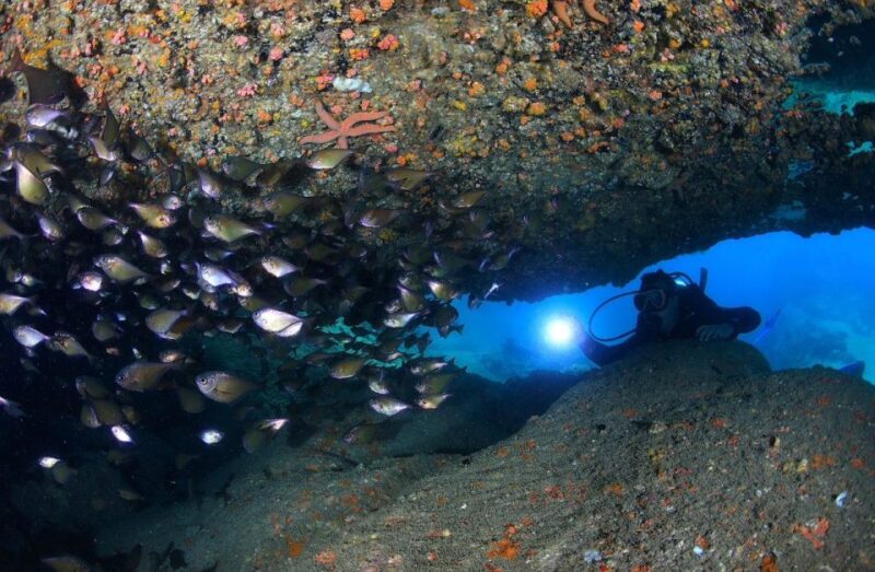 Nha Trang: Professional Scuba Diving for Certified Divers - Included in the Package