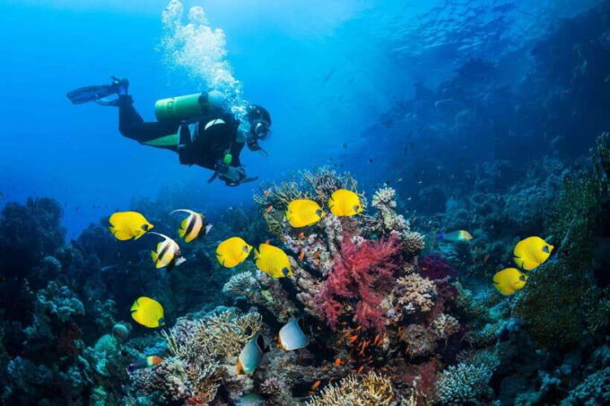 Nha Trang: Scuba Diving and Eco-Tourism Island Day Trip - Dining and Facilities