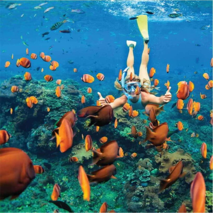 Nha Trang: Scuba Diving and Eco-Tourism Island Day Trip - Booking and Cancellation Policy