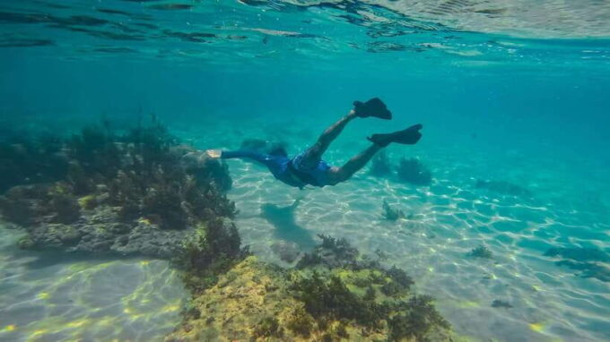 Nha Trang: Scuba Diving and Eco-Tourism Island Day Trip - Since You Asked