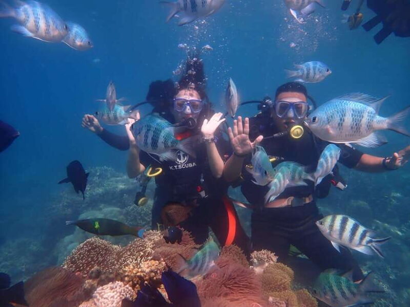 Nha Trang : Scuba Diving Experience for Certified Dive - Itinerary and Activities