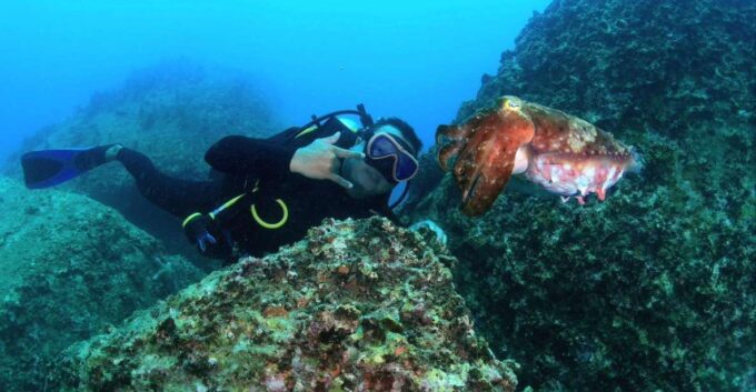Nha Trang: Scuba Diving Experience for Non-Certified Divers - Recap