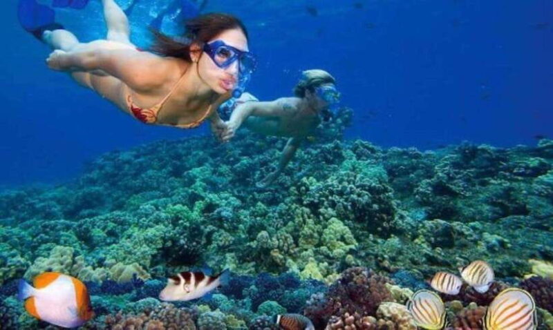 Nha Trang: Snorkeling, Fishing, BBQ and Relax at Mini Beach - Suitability and Restrictions