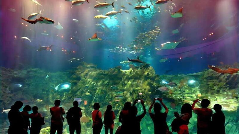 Nha Trang: Snorkeling, Lunch, and Mini Beach - Seafood Lunch and Fishing