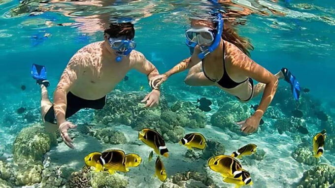 Nha Trang: Snorkeling, Lunch, and Mini Beach - Customer Feedback and Ratings