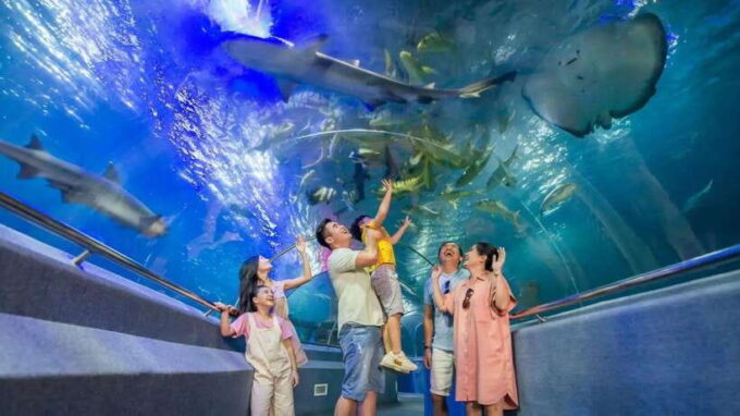 Nha Trang: Snorkeling, Lunch, and Mini Beach - Water Sports Options