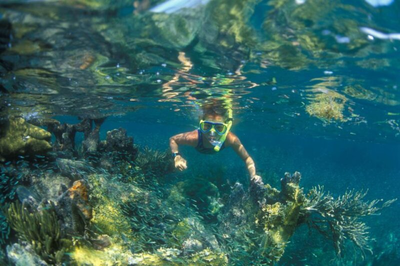 Nha Trang: Snorkeling Tour at Mun Island Marine Park - Mun Island Marine Parks Highlights