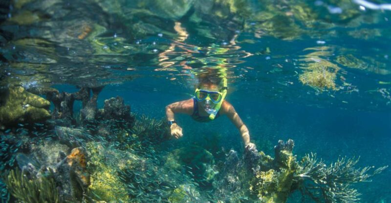 Nha Trang: Snorkeling Tour at Mun Island Marine Park - Snorkeling Experience at Nha Trang