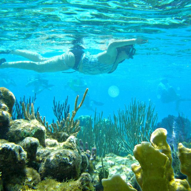 Nha Trang: Snorkeling Tour at Mun Island Marine Park - Lunch and Refreshment Offerings