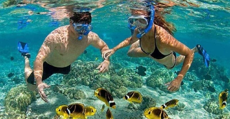 Nha Trang: Snorkleing & BBQ & Fishing & MIni Beach - Tour Inclusions